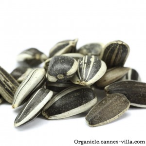 sunflower seeds